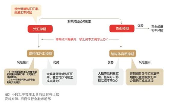 2021年6月【中国外汇】跨境融资场景下的汇率风险管理 图3.jpg
